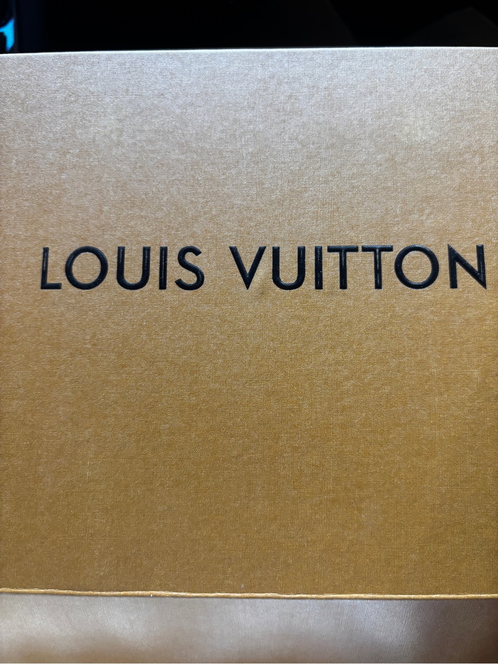 Louis Vuitton Monogram Vanity Box Bag in Brown and Gold mini ! - Picture 4 of 8